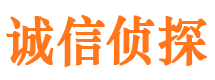 汉阳市私家侦探